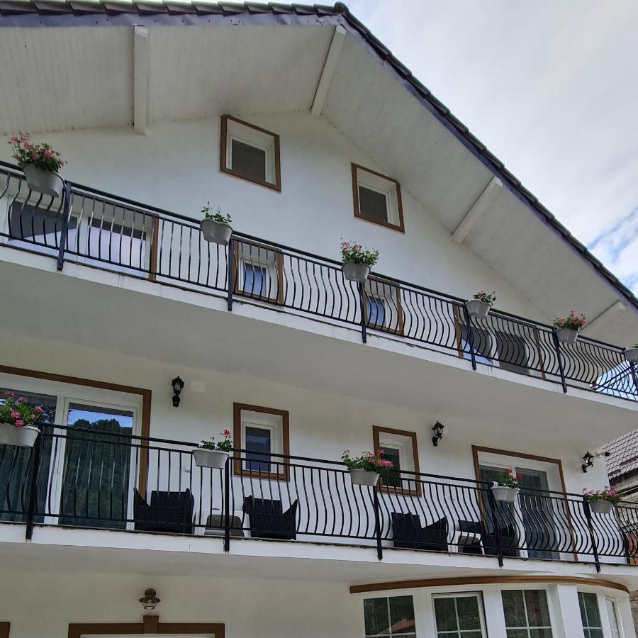 Casa Anne Hotel Baile Herculane Exterior photo